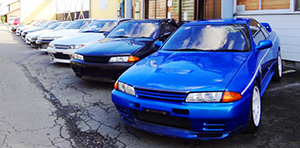 Driving in Puerto Vallarta - Importing a Car