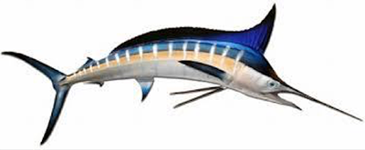 FishingPV - sailfish