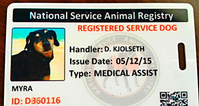 Pet Travel - Front of SA Card